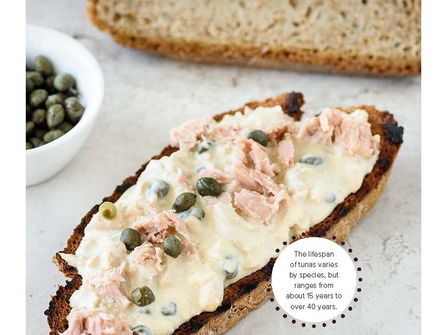 GRILLED TUNA SANDWICH