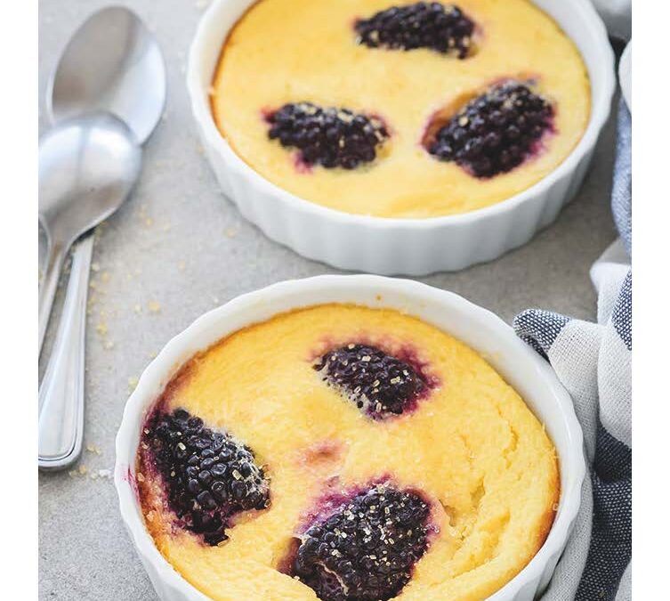 baked blackberry custard