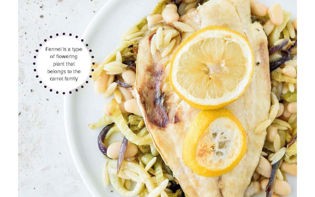 fennel and white fish risoni salad