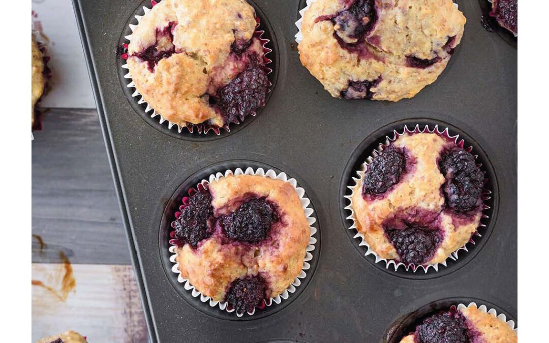 blackberry yoghurt breakfast muffins