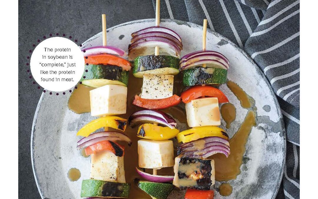 SATAY TOFU SKEWERS